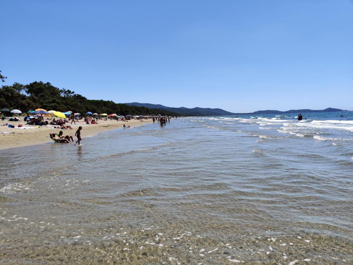 Panorama-Ferien-Toscana Your Cozy And Fully Equipped Vacation Home Масса-Мариттима Экстерьер фото